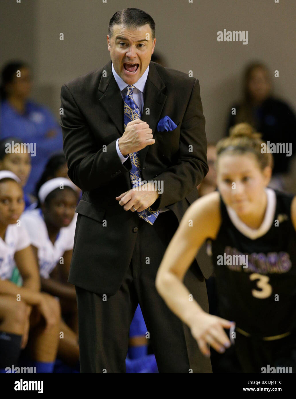 Lexington, Kentucky, USA. 21 nov., 2013. L'entraîneur en chef des Wildcats de Kentucky Matthew Mitchell encourage son équipe comme # 7 Kentucky joué Lipscomb le jeudi 21 novembre 2013 à Lexington, KY Photos par Mark Cornelison | Lexington Herald-Leader © Personnel/ZUMAPRESS.com/Alamy Live News Banque D'Images