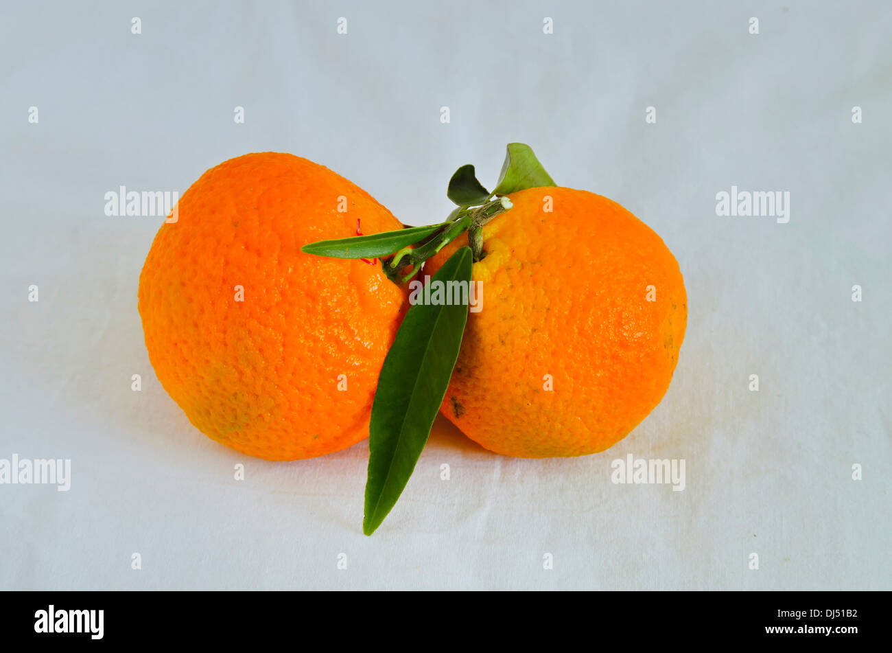 La mandarine fruit avec des feuilles Banque D'Images