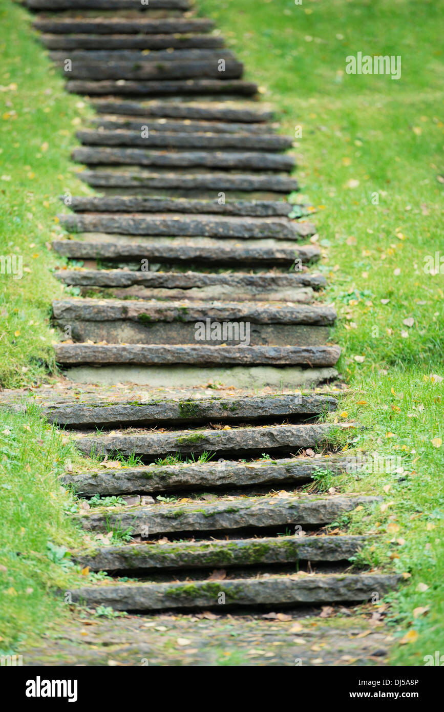 Chemin vide avec des marches en pierre et d'herbe verte Banque D'Images