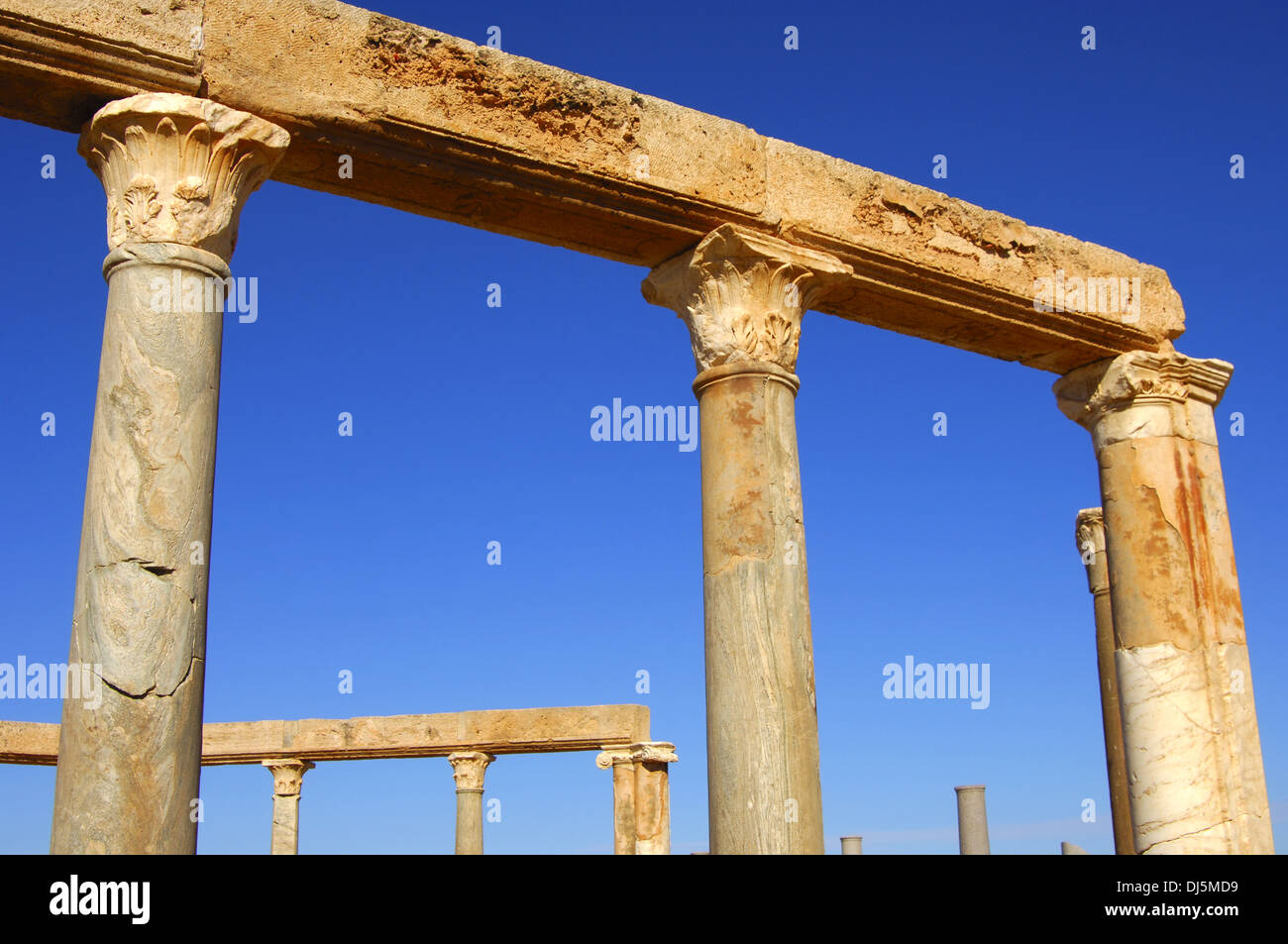 Vestiges romains, Leptis Magna, Lib Banque D'Images