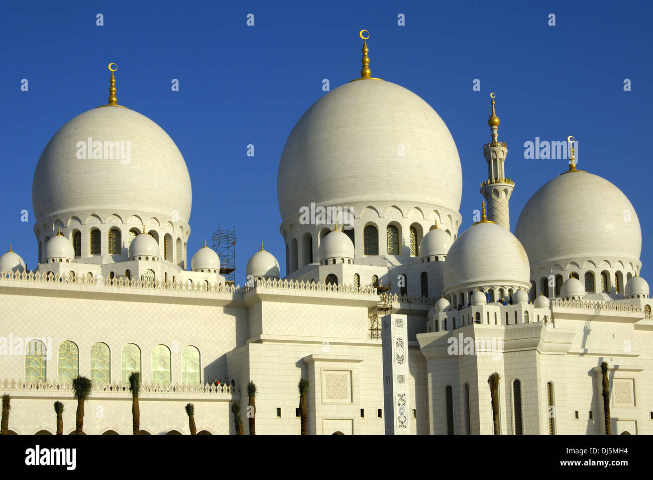 Grande Mosquée, Abu Dhabi Banque D'Images
