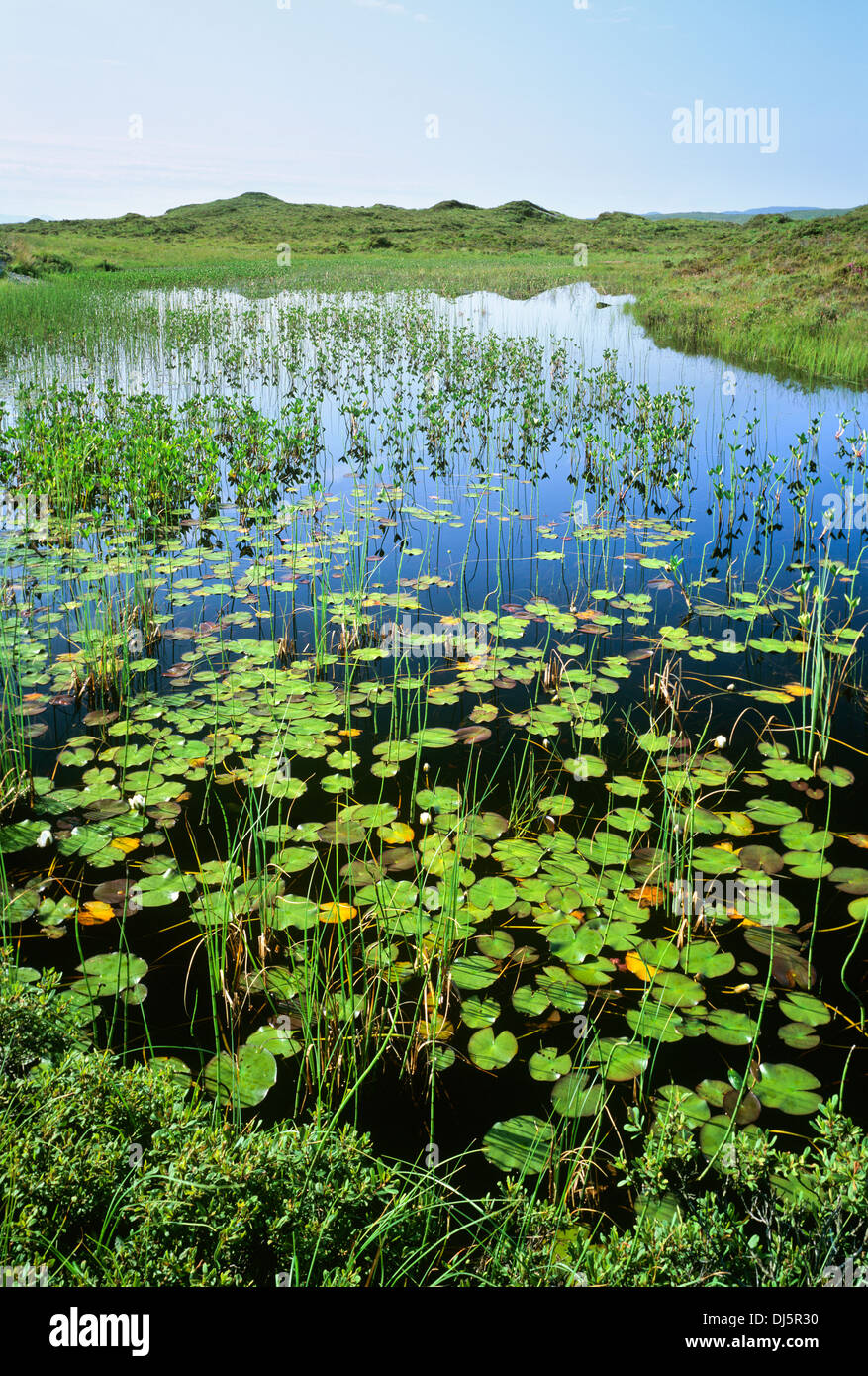 Lochain Dubha près de Broadford, Isle of Skye, Hébrides intérieures, Highland, Scotland, UK. Banque D'Images