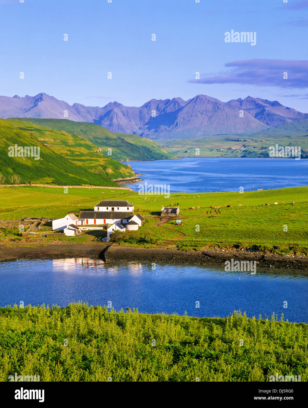 Cuillin Hills, Loch Harport et ferme, Isle of Skye, Scotland, UK. Banque D'Images