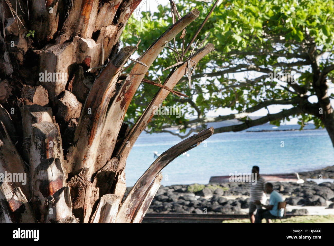 L'expression naturelle d'un environnement de paix autour de la mer. Banque D'Images