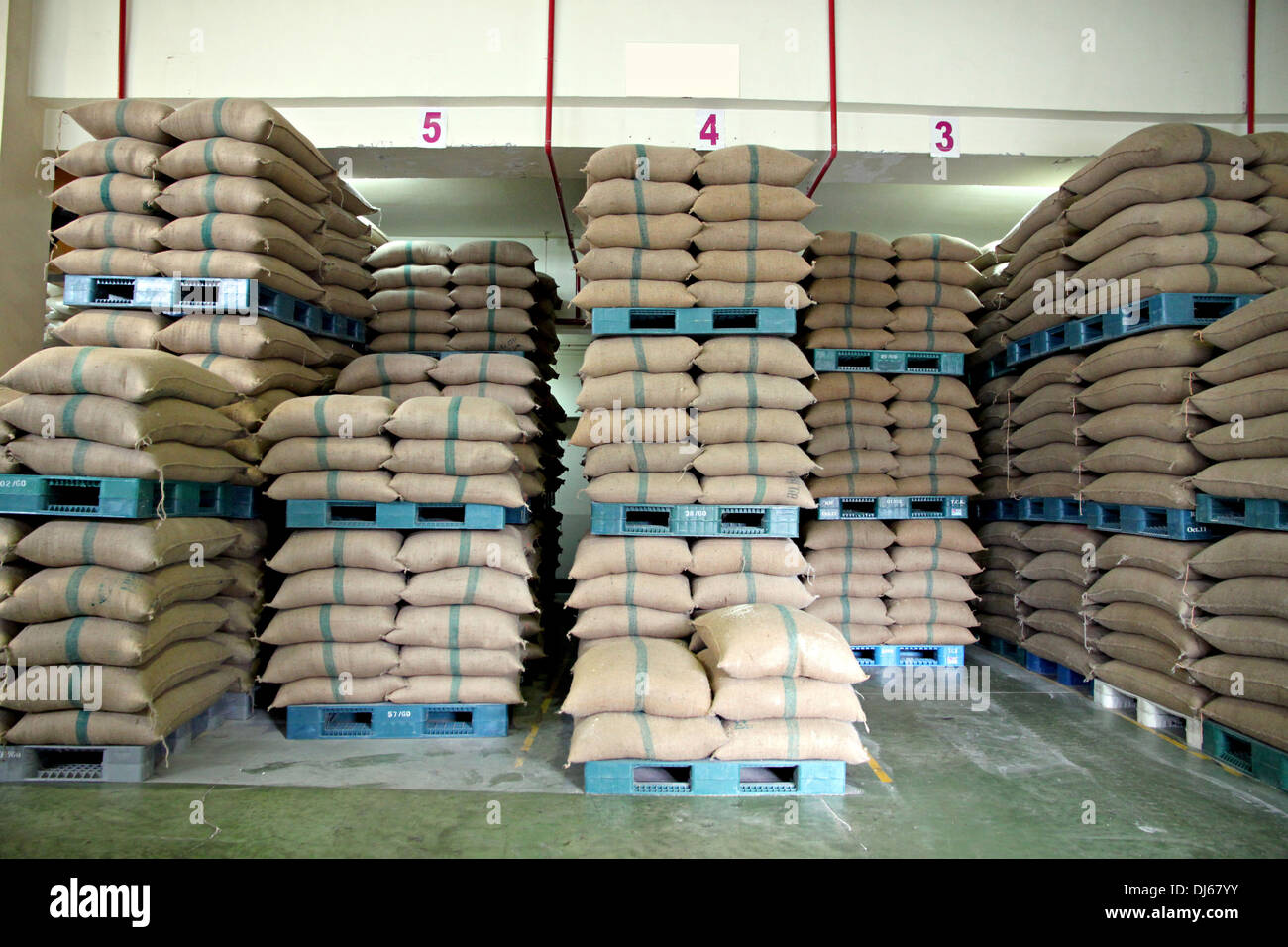 Des sacs de riz empilés sur une palette en plastique dans l'entrepôt. Banque D'Images