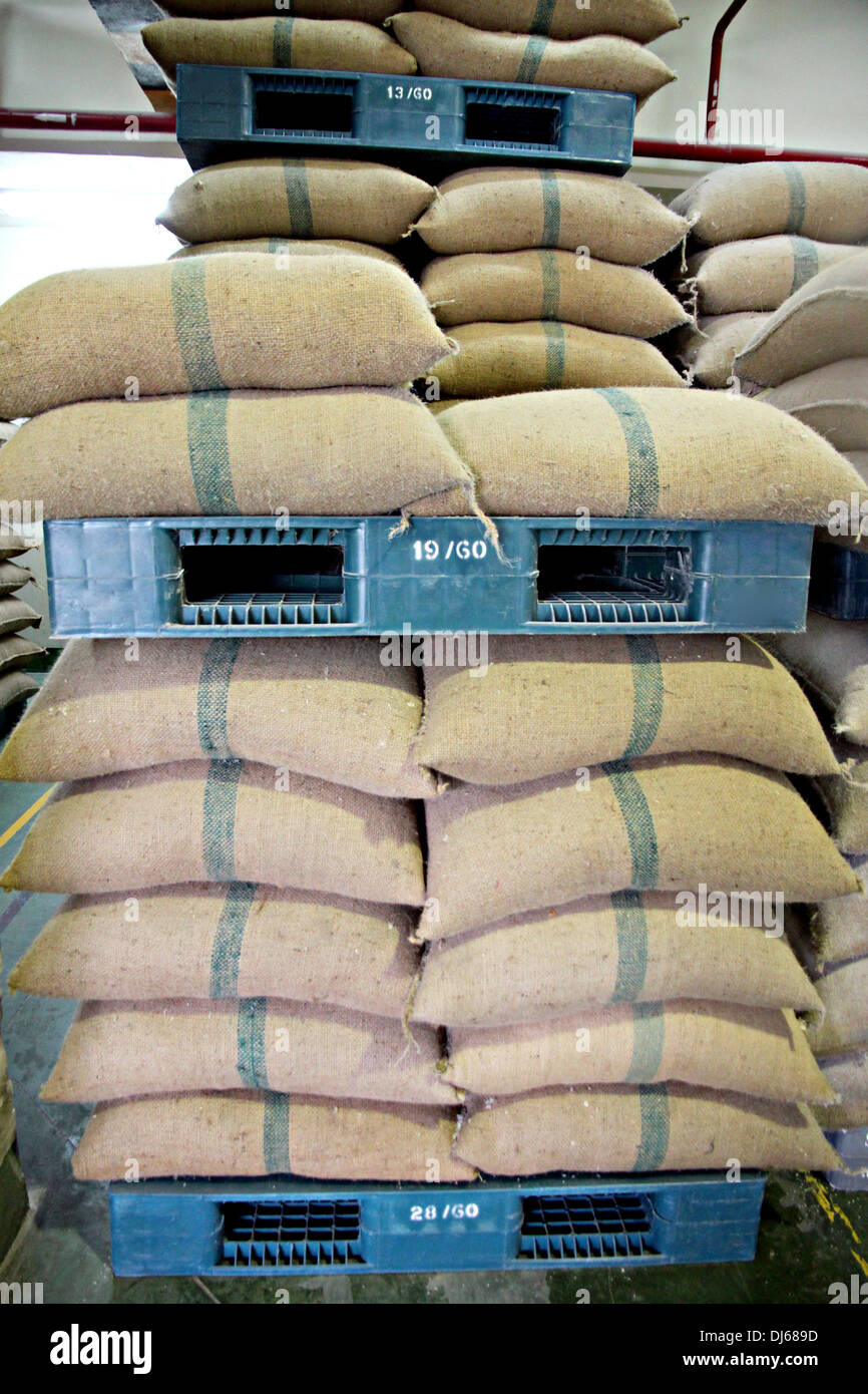 Des sacs de riz empilés sur une palette en plastique dans l'entrepôt. Banque D'Images