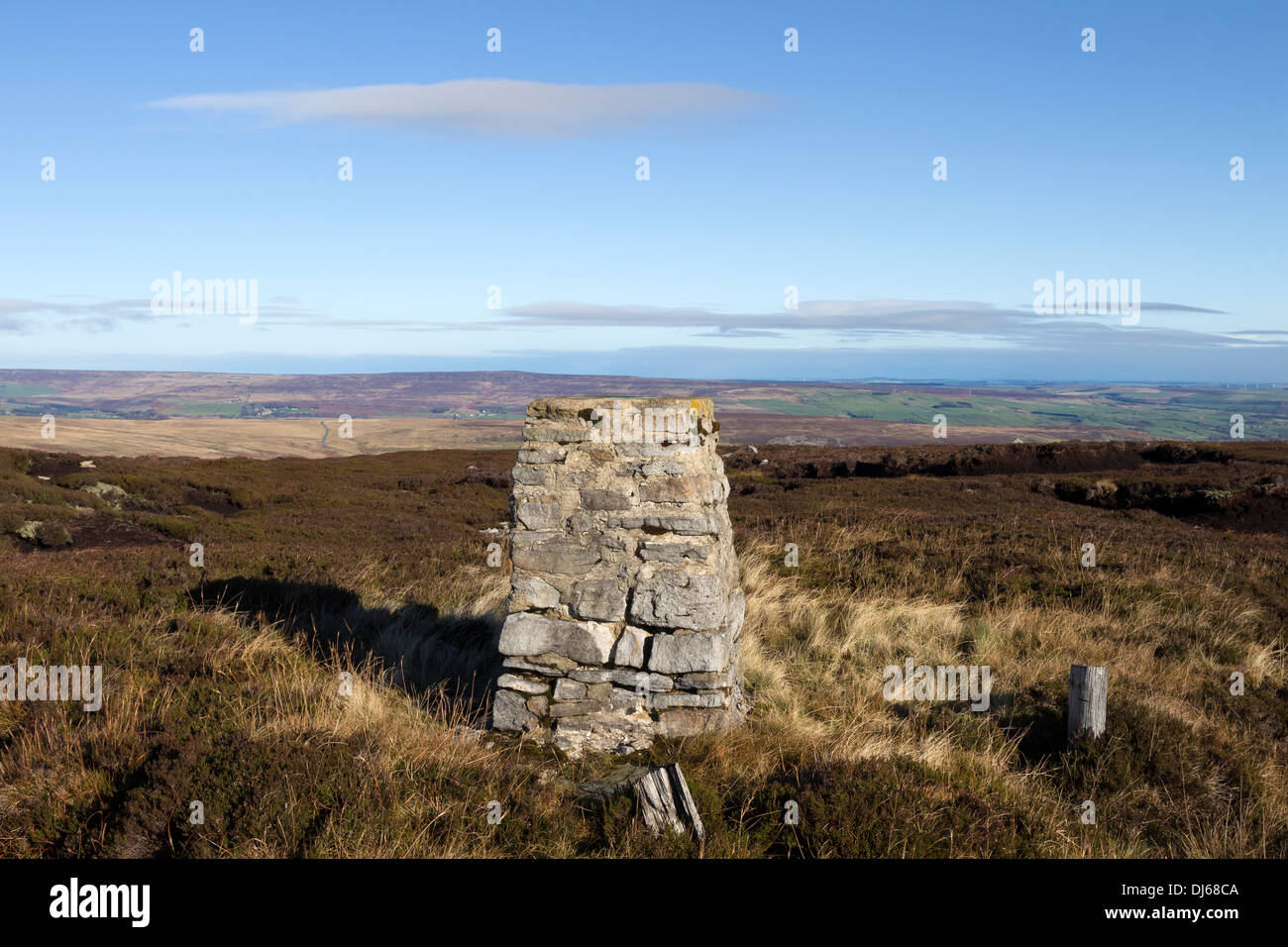 Weardale du Sommet du Harnisha Raven Hill (Siège) sur la frontière et Teesdale Weardale North Pennines County Durham UK Banque D'Images