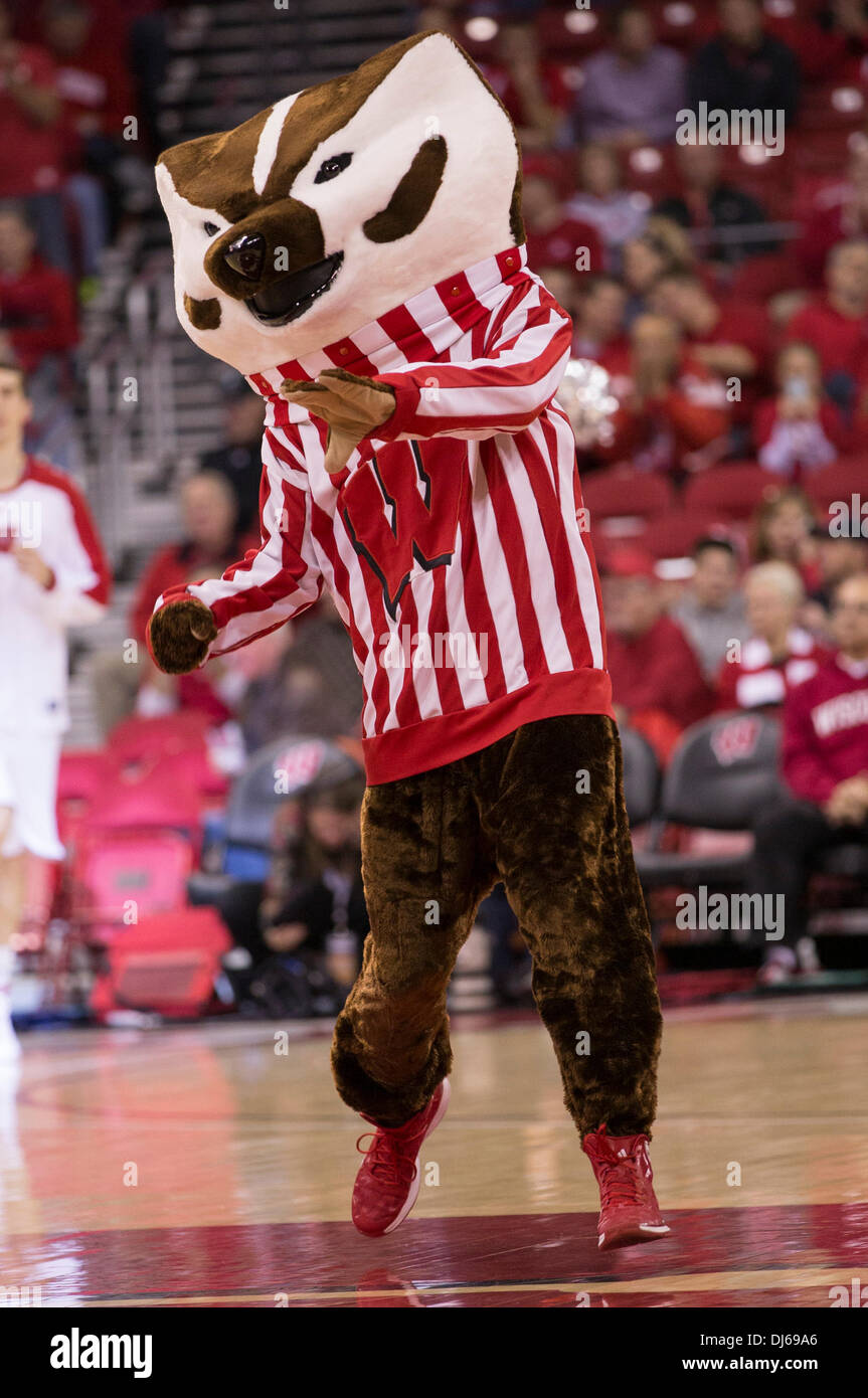 Madison, Wisconsin, USA. 21 nov., 2013. 21 novembre 2013 : blaireau Bucky court vers la cour pour le début de la jeu de basket-ball de NCAA entre les Falcons de Bowling Green et le Wisconsin Badgers au Kohl Center à Madison, WI. Le Wisconsin a défait 88-64 Bowling Green. John Fisher/CSM/Alamy Live News Banque D'Images