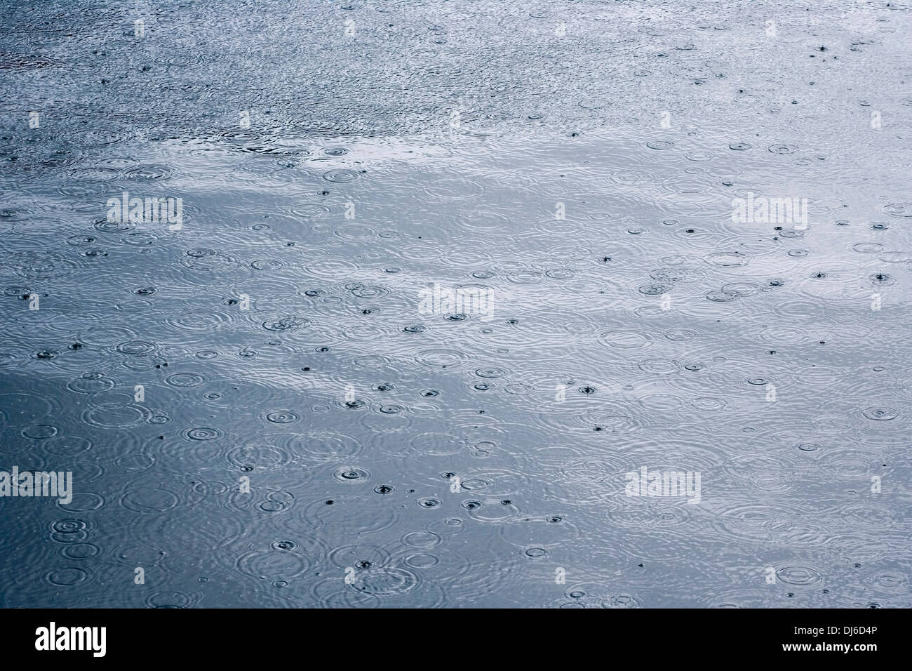 Gouttes de frapper la surface de l'eau Holkham Bay passage Stephens le sud-est de l'Alaska l'été Fords-Terror Banque D'Images