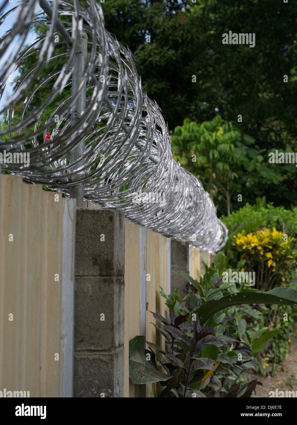 Sur le fil du rasoir / bande barbelé sur murs extérieurs de la construction à Madang, Papouasie Nouvelle Guinée Banque D'Images
