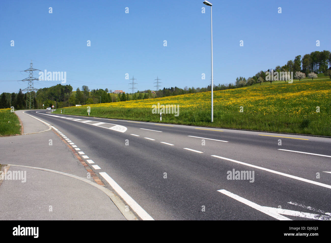 La Suisse route avec champ et arbres sur le côté Banque D'Images