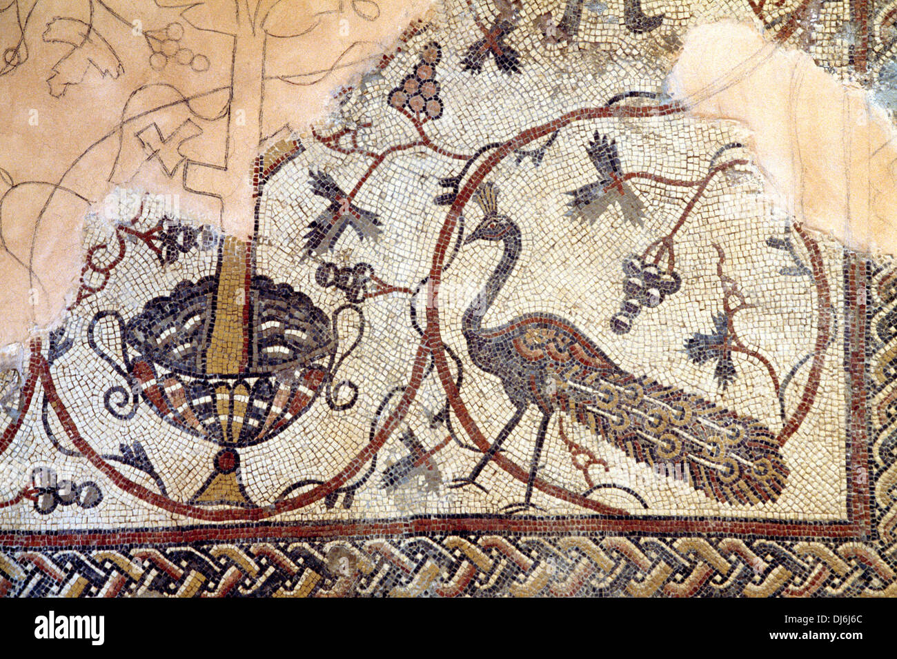 La basilique du mont Nebo de Moïse Jordan reste de mosaïque antique - le mont Nebo dit être l'endroit où Moïse a vu la Terre Promise Banque D'Images