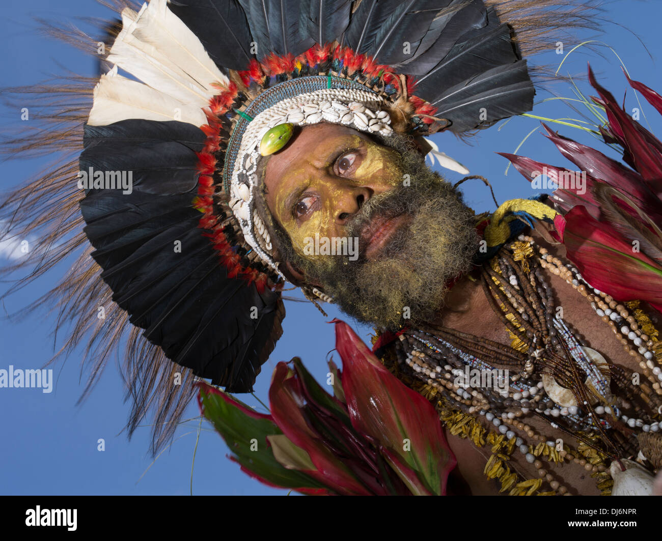 Homme portant une coiffe de plumes tribales de Singsing, Groupe - Goroka Show, Papouasie Nouvelle Guinée Banque D'Images