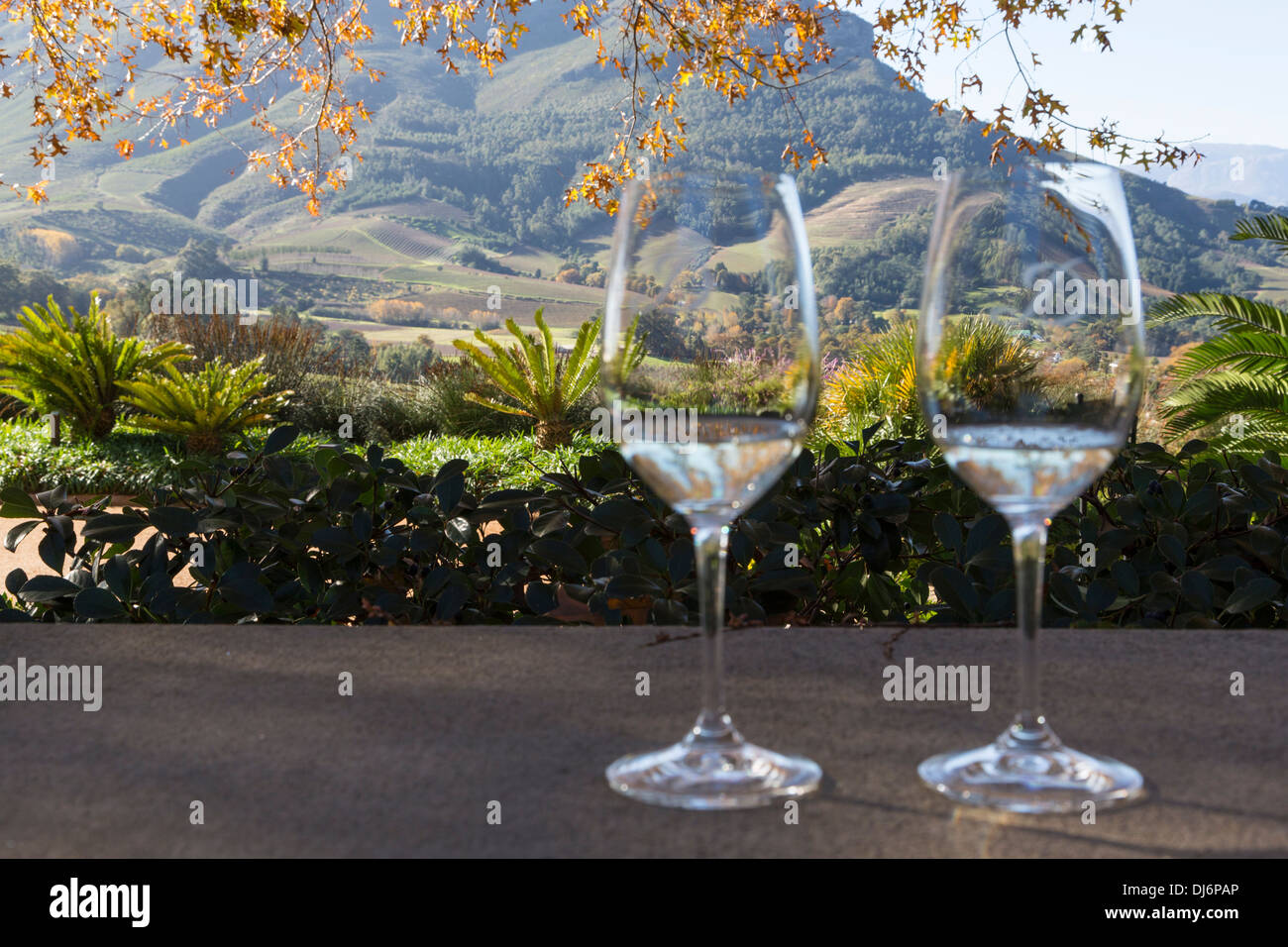 L'Afrique du Sud. Dégustation de vin, Delaire Graff Estate Winery, près de Stellenbosch. L'accent sur l'arrière-plan. Banque D'Images