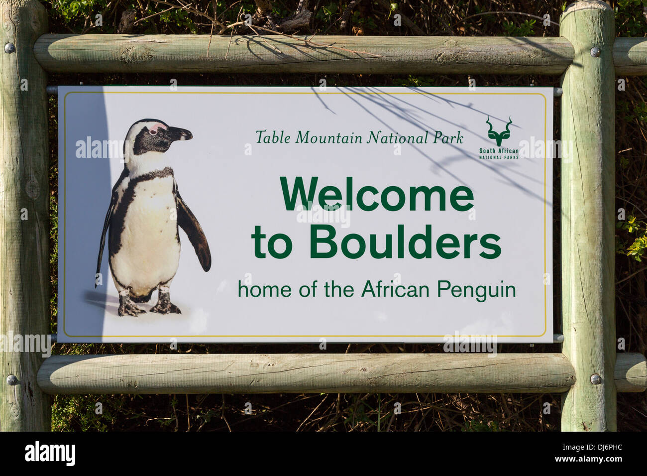 L'Afrique du Sud. Pingouins africains à Boulders Beach, près de Simon's Town, signe de bienvenue, Province de Western Cape. Banque D'Images