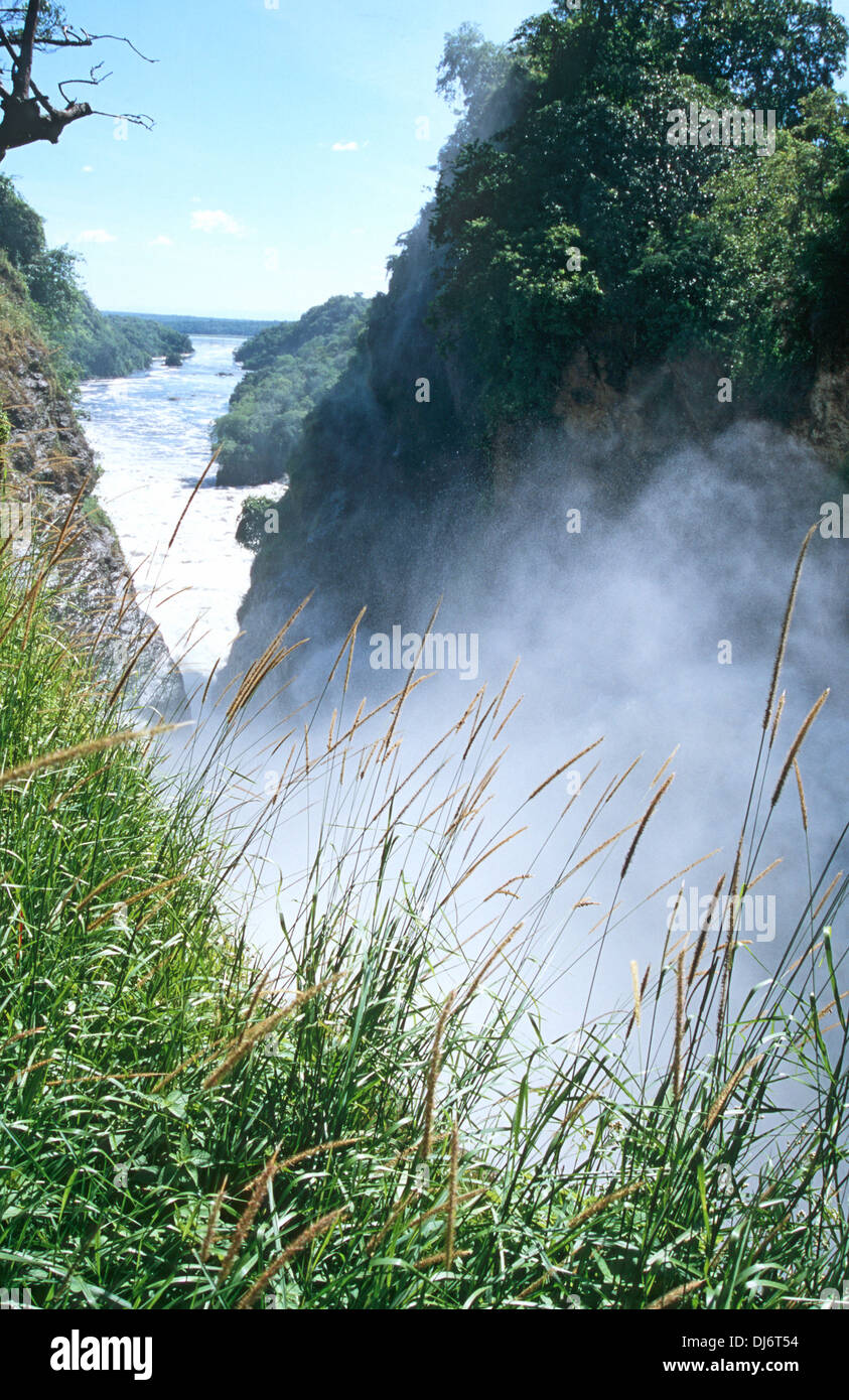 Murchison Falls, en Ouganda. Le Nil Victoria si plonge une gorge à seulement 7 mètres de large. Banque D'Images