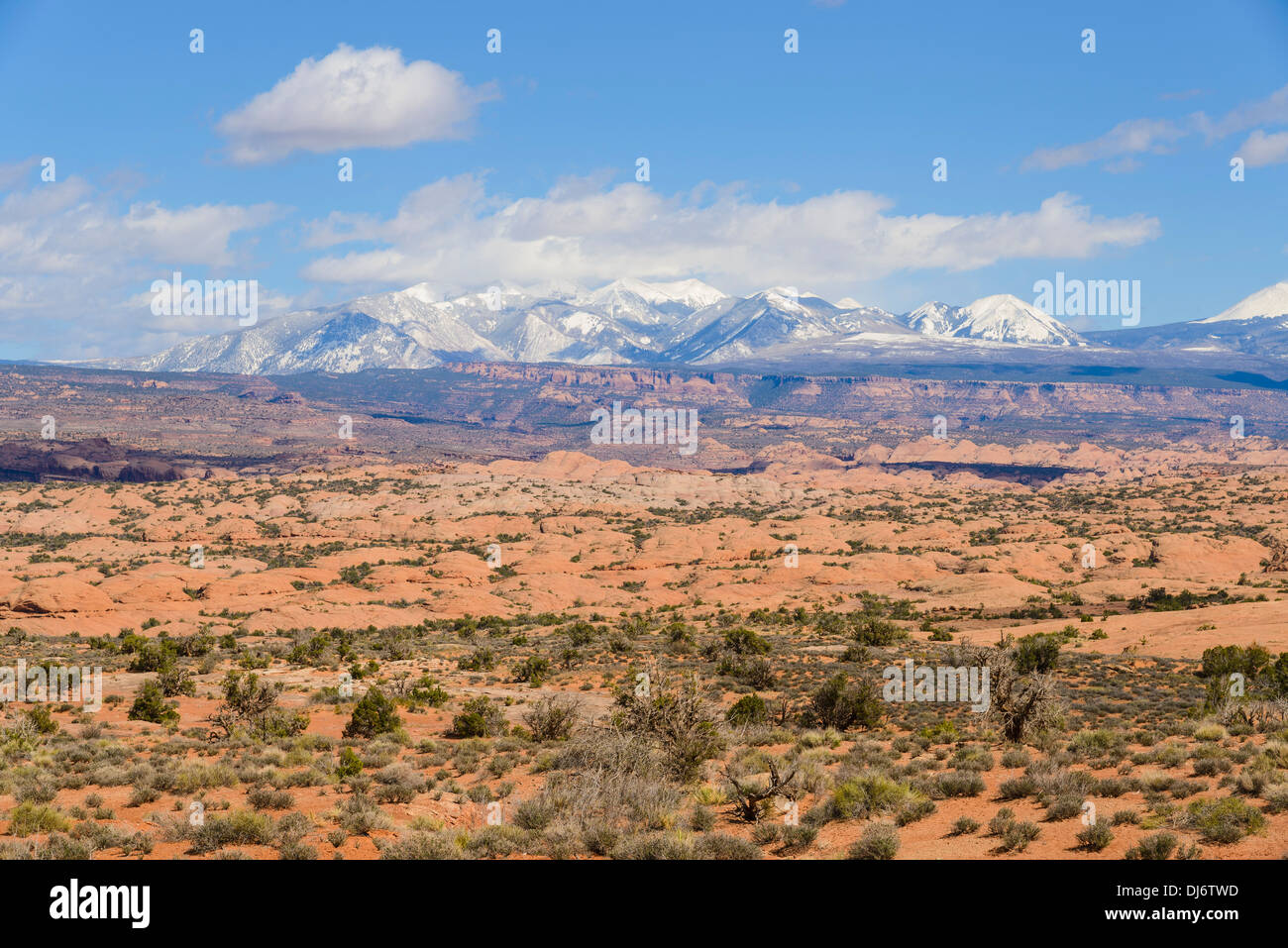 Montagnes La Sal d'Arches National Park, Utah, USA Banque D'Images