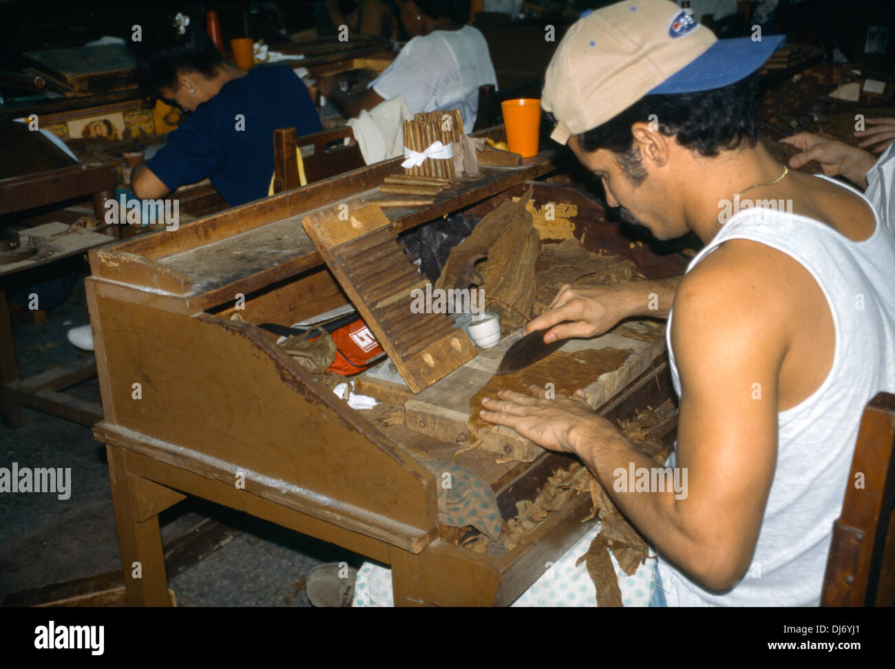 Le découpage des feuilles de tabac partagas cigar factory la Havane Cuba Banque D'Images Le découpage des feuilles de tabac partagas cigar factory la Havane Cuba Banque D'Images