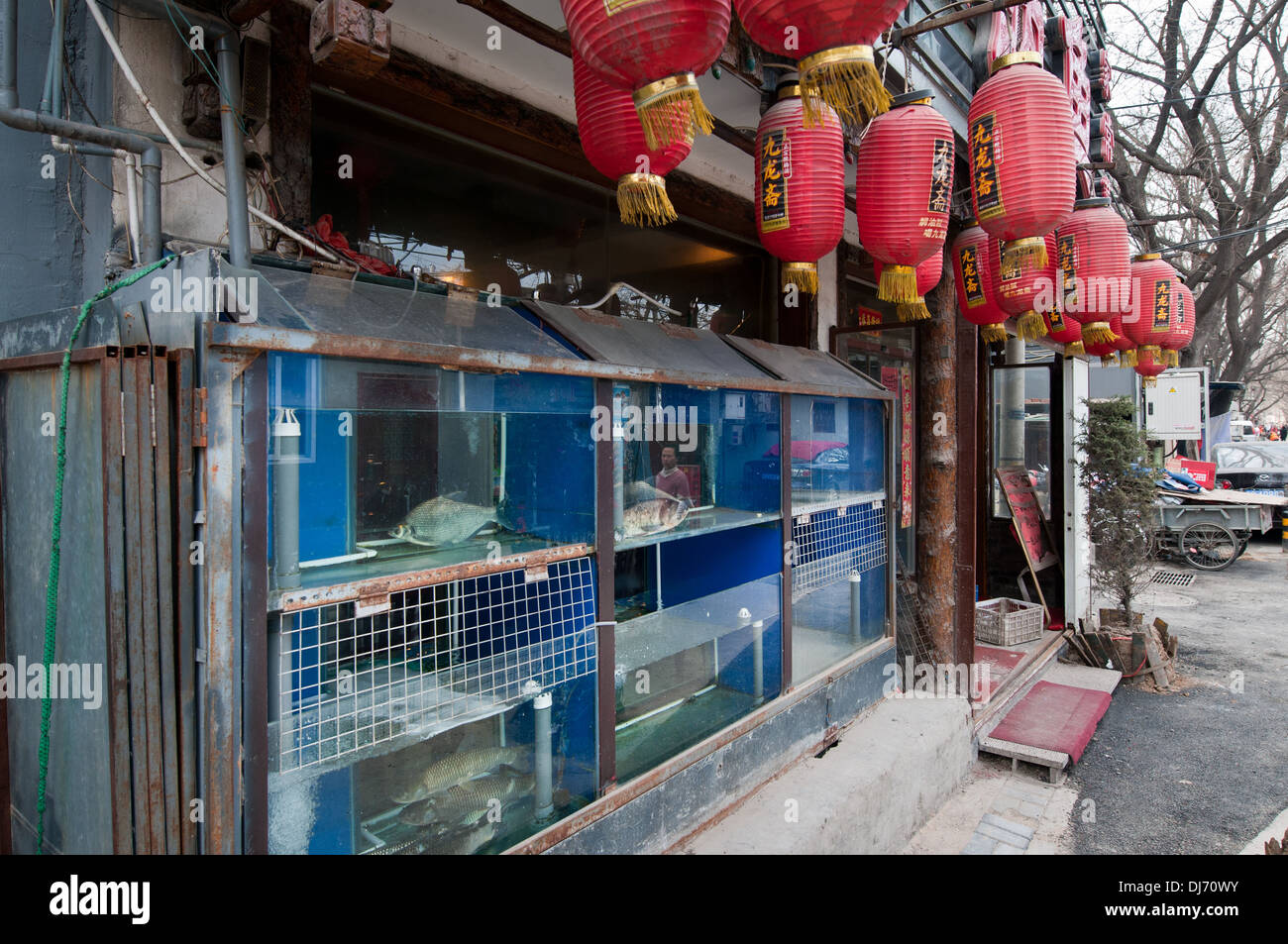 Restaurant avec zone de poissons frais dans le hutong, Beijing, Chine Banque D'Images