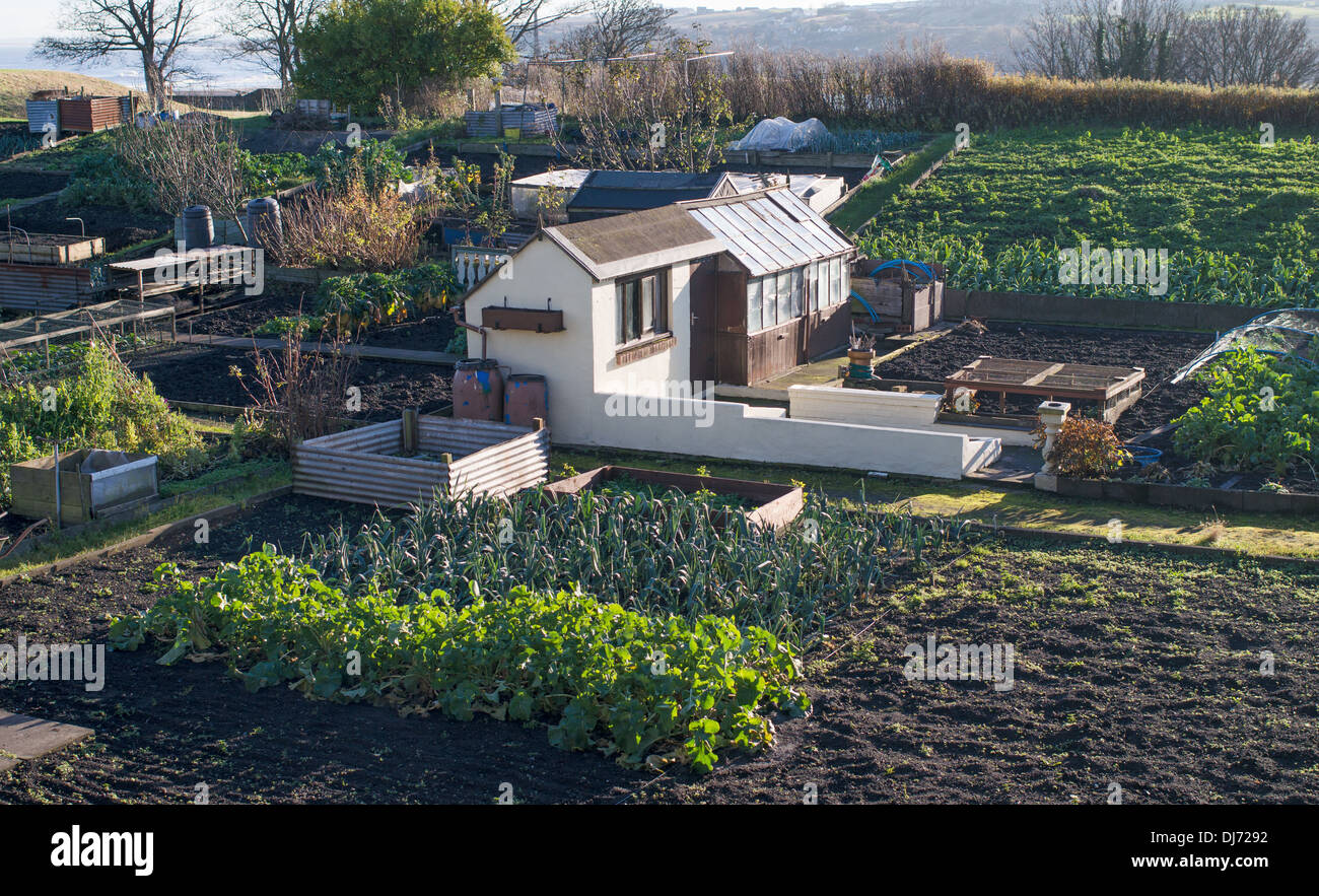 Marché de remise et les émissions sur les attribuer en Berwick upon Tweed, Northumberland, England, UK Banque D'Images