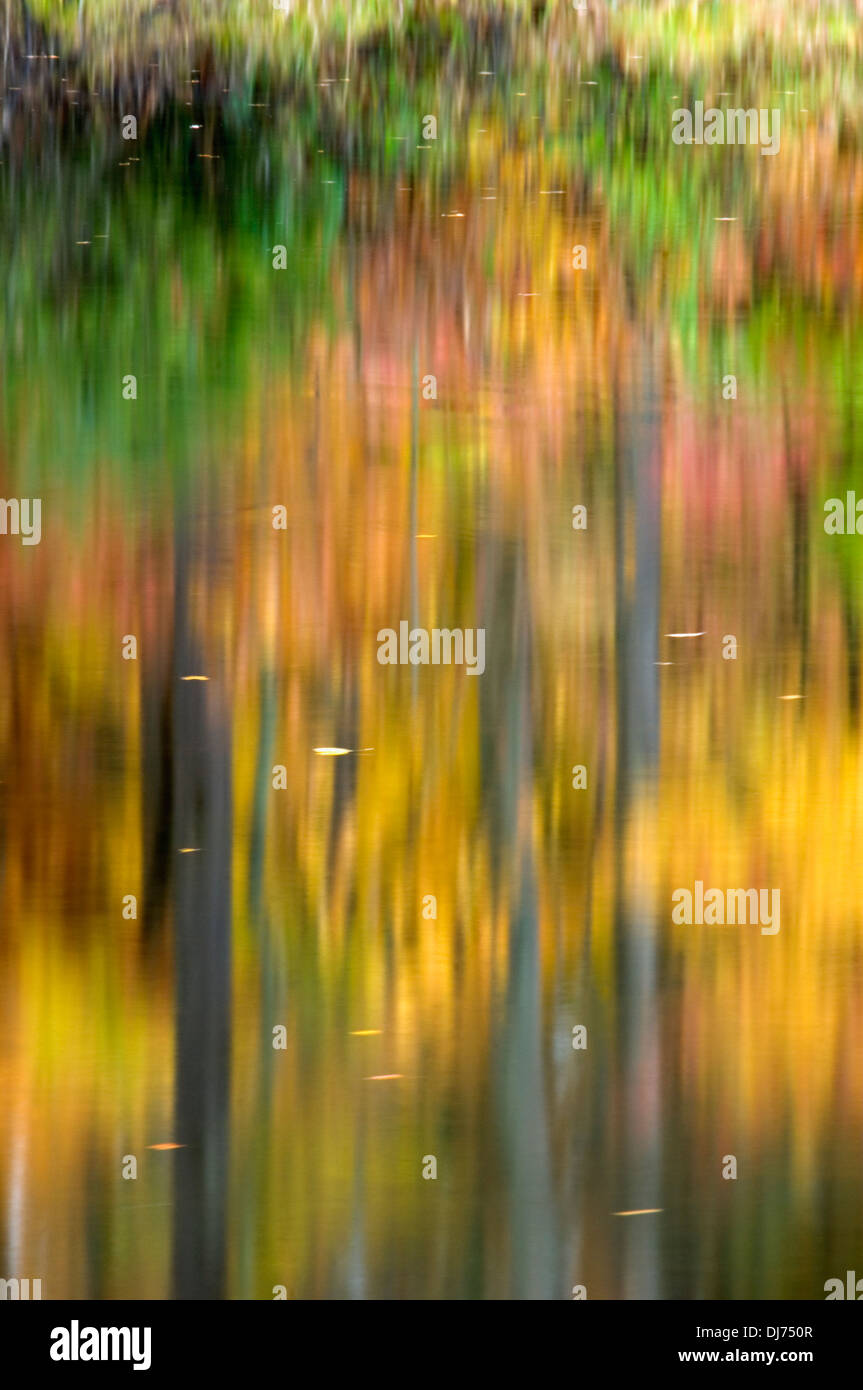 Réflexions sur l'automne Big Oak Lake dans la région de Clark State Forest Dans le comté de Clark, dans l'Indiana Banque D'Images