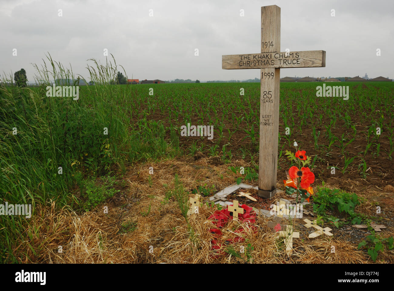 Le kaki 'Chums' Memorial Cross, St Yvon, Belgique, a été érigée en souvenir de la trêve de Noël en 1914. Banque D'Images