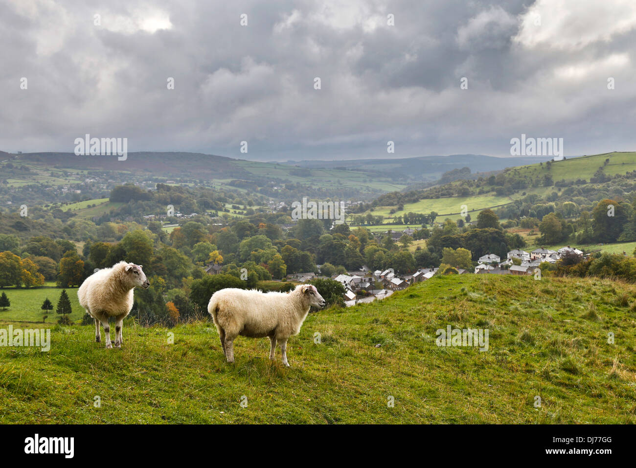 Voir d'Eyam, Peak District, Derbyshire, Royaume-Uni Banque D'Images