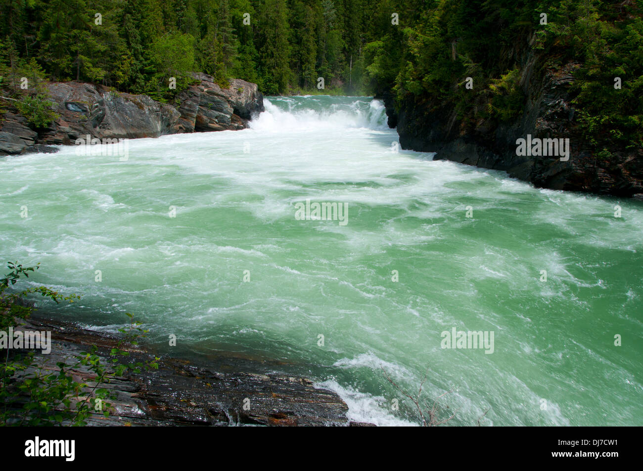 Overlander Falls, Mt Robson Provincial Park, British Columbia, Canada Banque D'Images