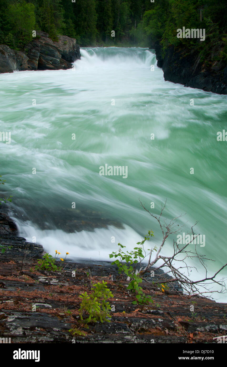 Overlander Falls, Mt Robson Provincial Park, British Columbia, Canada Banque D'Images