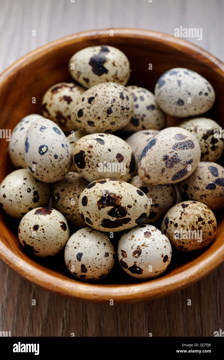 Des oeufs de cailles dans bol en bois Banque D'Images