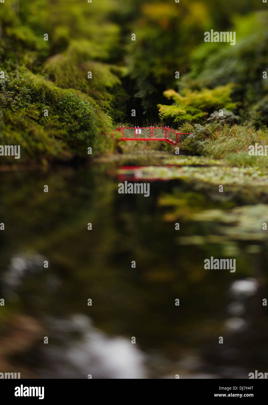 Sur le lac de Pont Rouge hors focus Banque D'Images