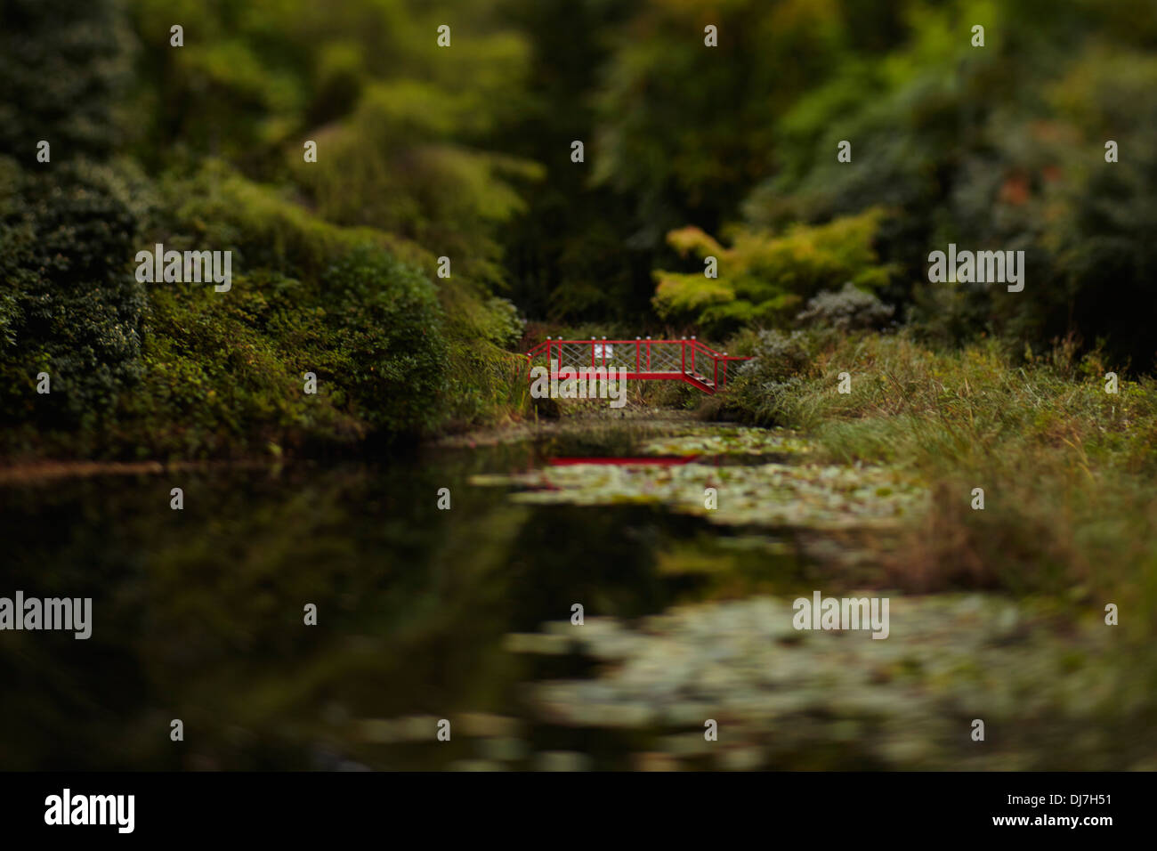 Sur le lac de Pont Rouge hors focus Banque D'Images