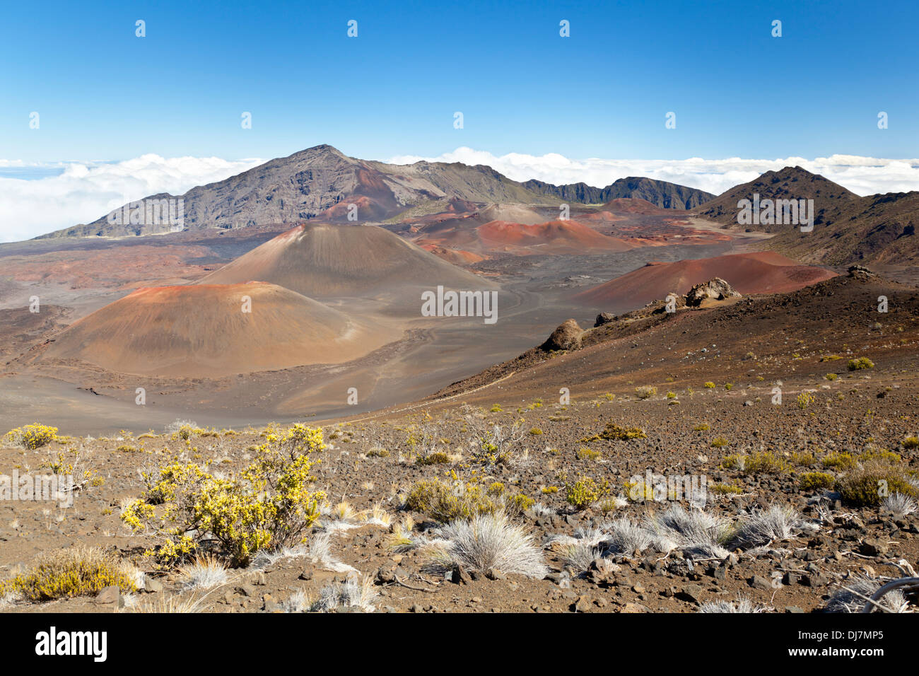 Vue à l'intérieur du grand cratère de Haleakala sur Maui, Hawaii. Banque D'Images