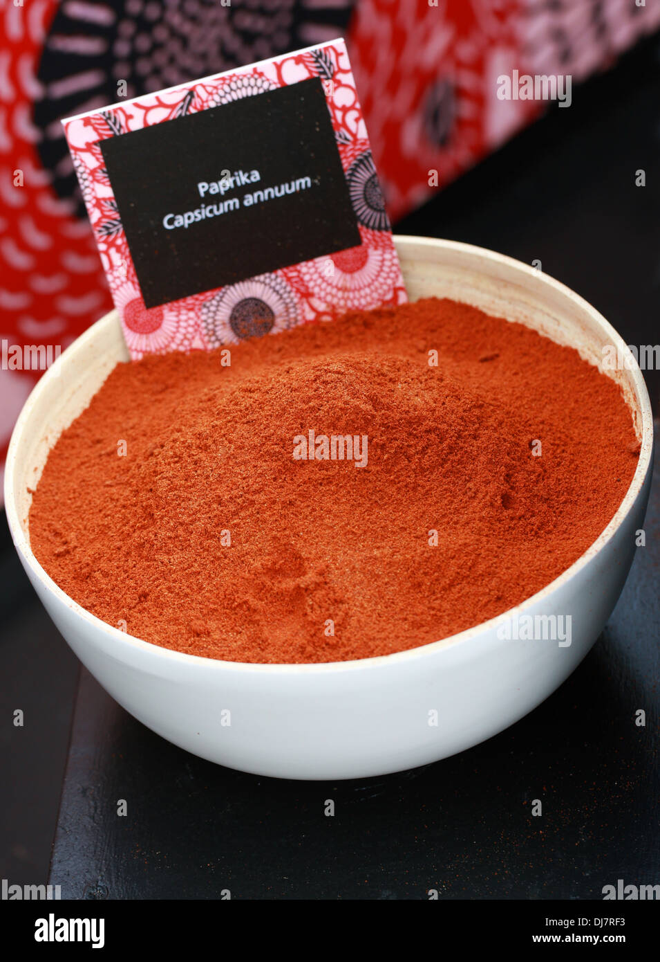 Paprika, Capsicum annuum, Solanaceae. Banque D'Images