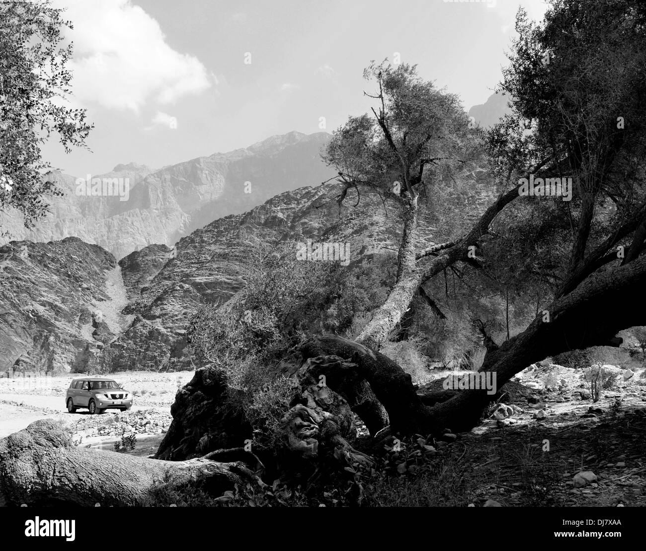 Paysage en Oman, en allant vers les montagnes Banque D'Images