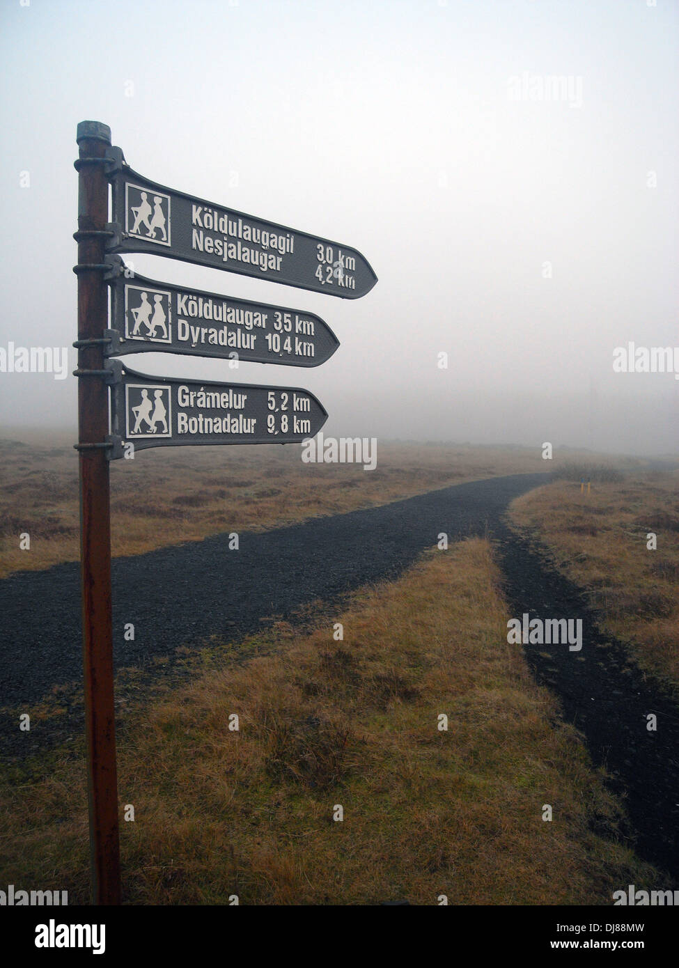 Des sentiers de randonnée dans le brouillard dans la zone de sources géothermiques de Hengill, Islande Banque D'Images