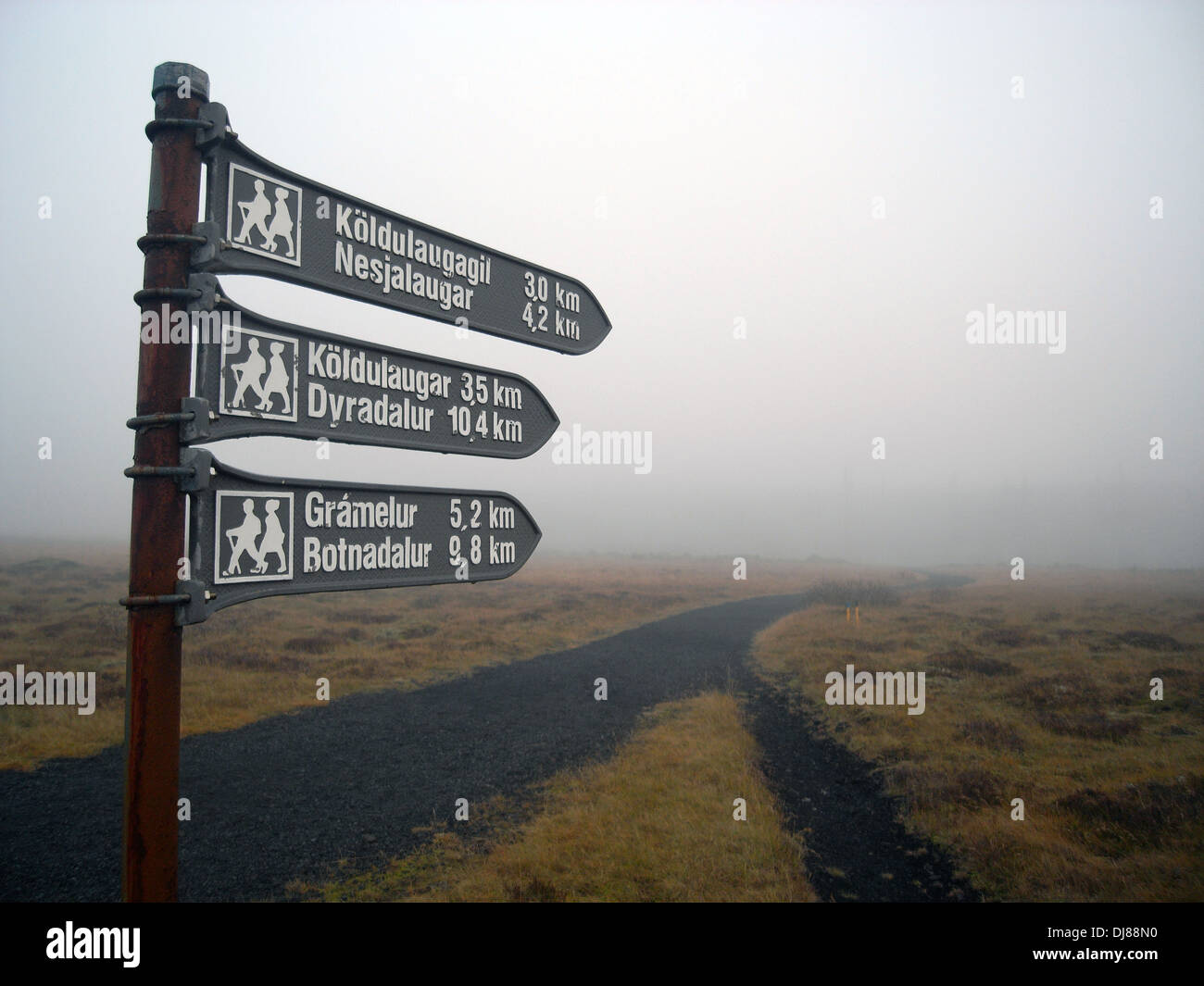 Des sentiers de randonnée dans le brouillard dans la zone de sources géothermiques de Hengill, Islande Banque D'Images
