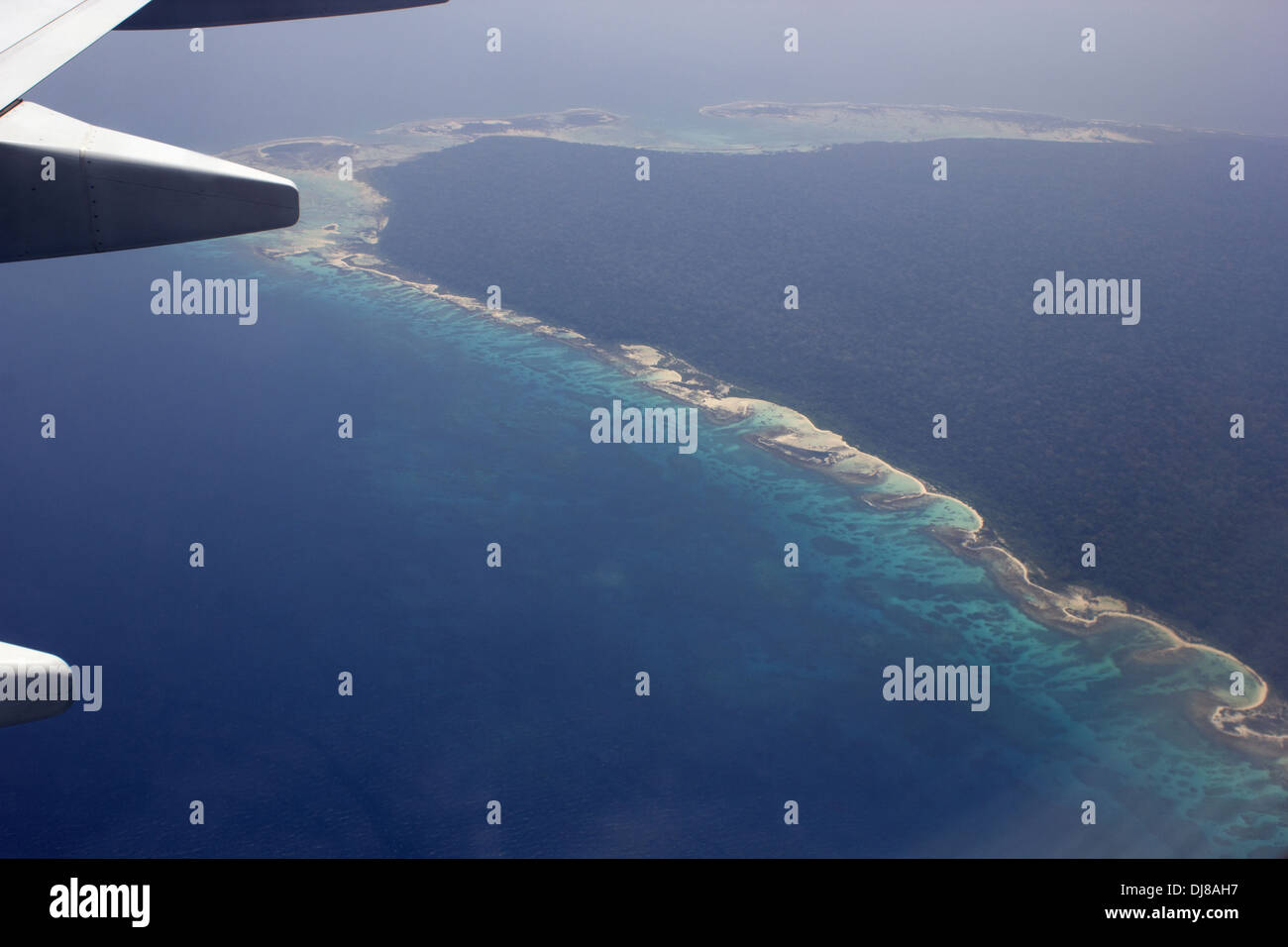 Vue aérienne de la dense forêt littorale d'evergreen et de bleu de la mer, les îles Andaman, en Inde Banque D'Images