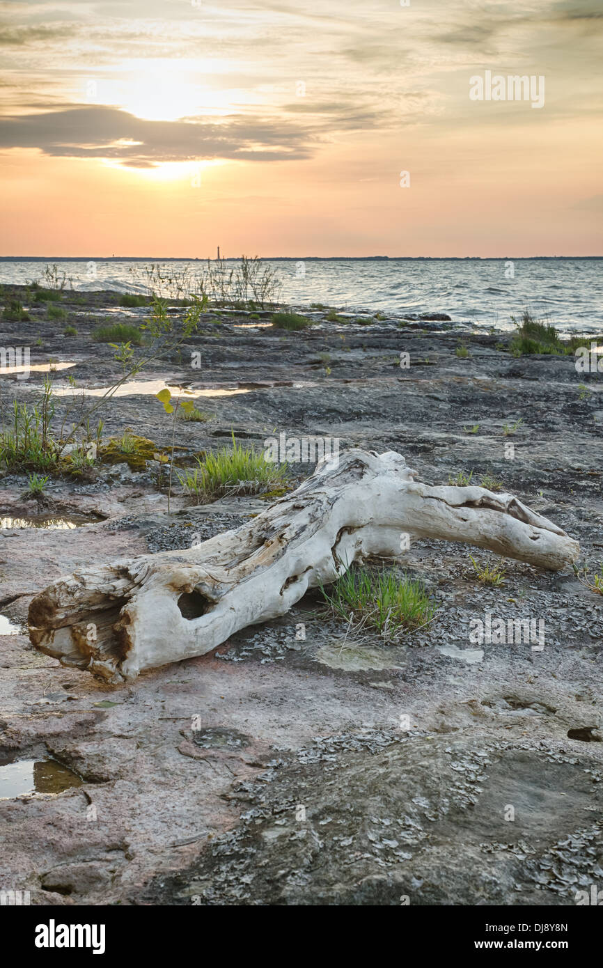 Le coucher du soleil sur le lac Érié, vu de l'alvar Île Kelleys. Banque D'Images