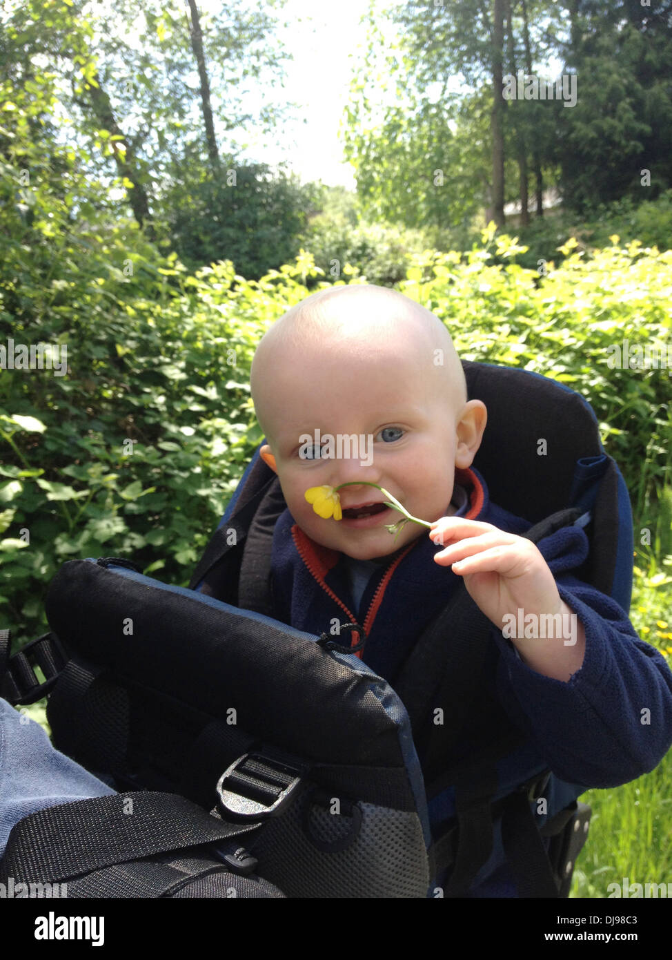 Caucasian baby smelling flower outdoors - Image de stock capturée avec un smartphone