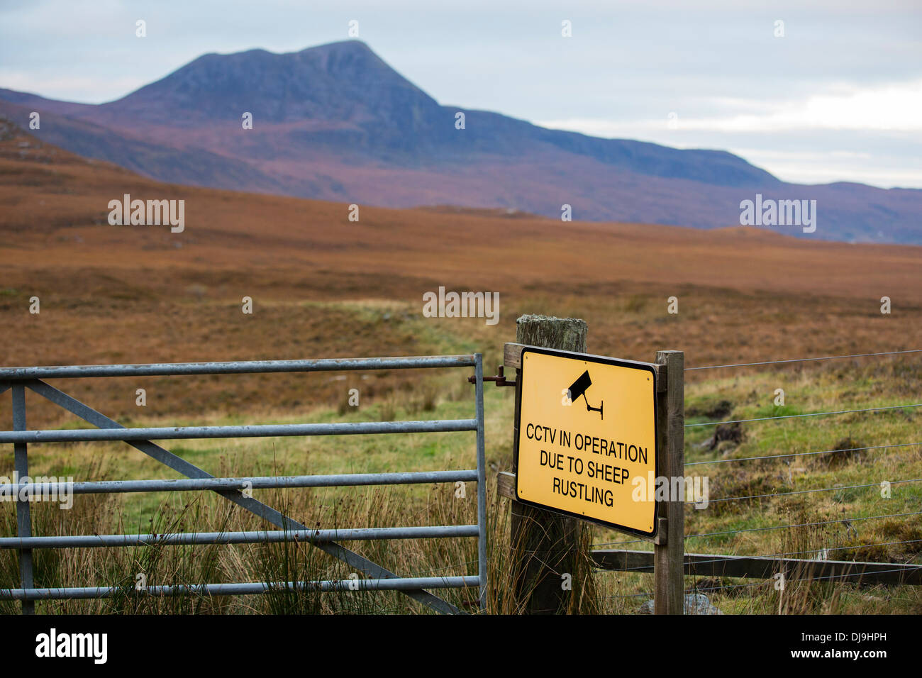 Un bruissement de moutons panneau sur la route à Scoraig ci-dessus peu Loch Broom, au nord-ouest de l'Écosse. Banque D'Images