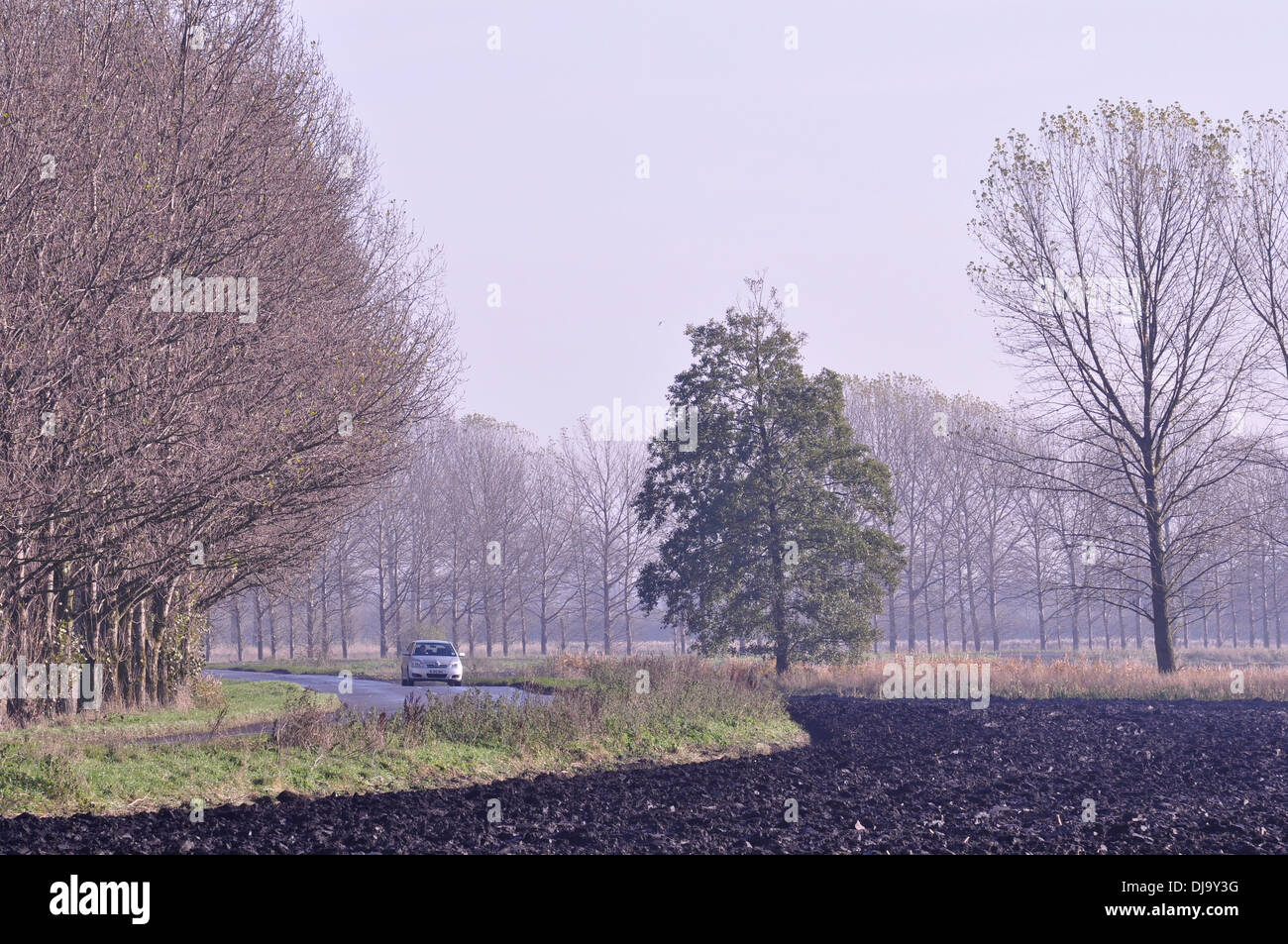 Paysage près d'Prickwillow Fenland, España. Banque D'Images