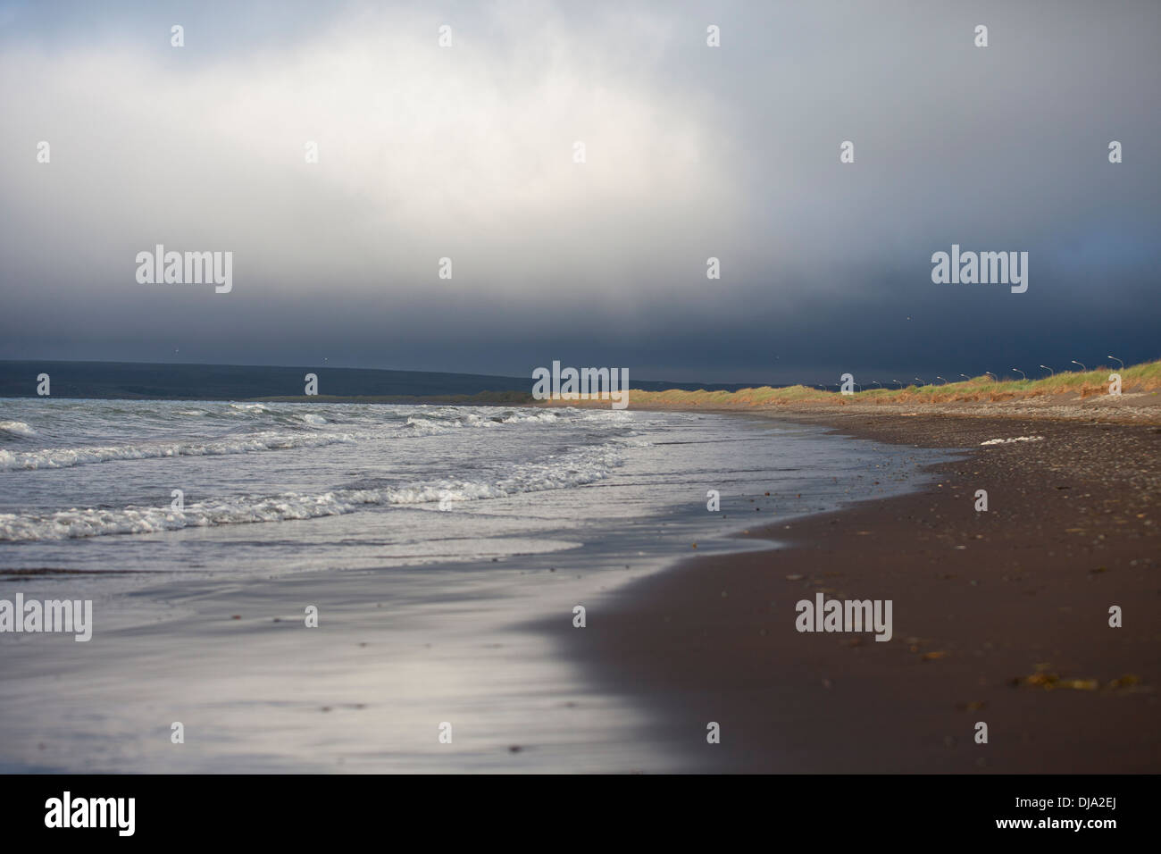 La plage d'or en Islande Banque D'Images