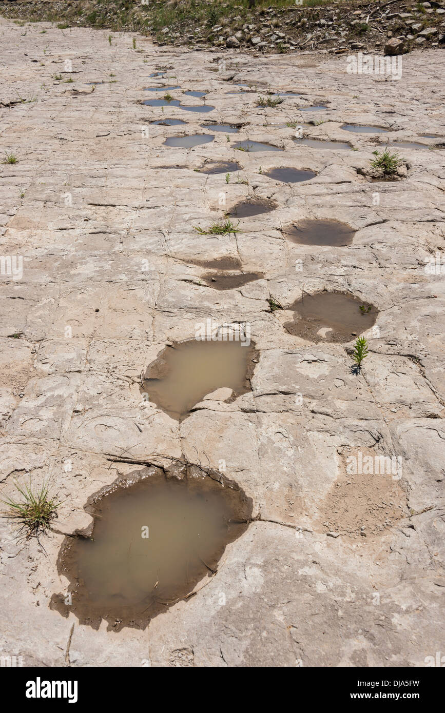 Traces de dinosaures à côté de la rivière Purgatoire, Picketwire Canyonlands, Comanche National Parc au sud de la Junta, Colorado. Banque D'Images
