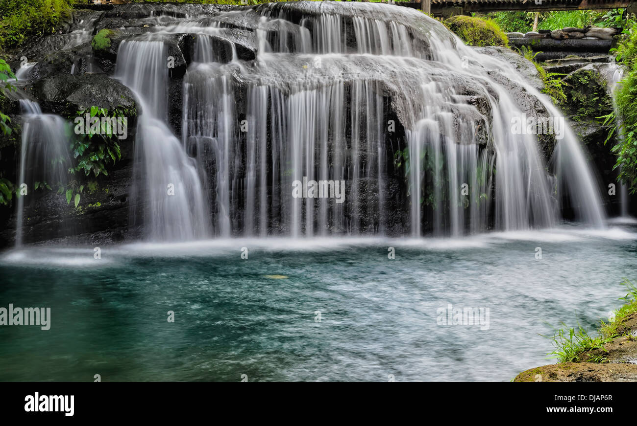 Petit rideau forestier cascade dans une forêt tropicale, Philippines Banque D'Images