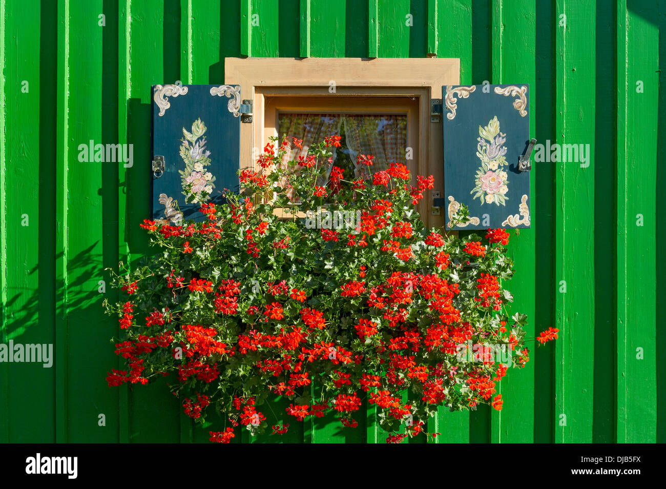 Fenêtre avec volets peints et jardinière de géraniums (Pelargonium spec.) on green cabane en bois, le Lac de Starnberg, Starnberg Banque D'Images