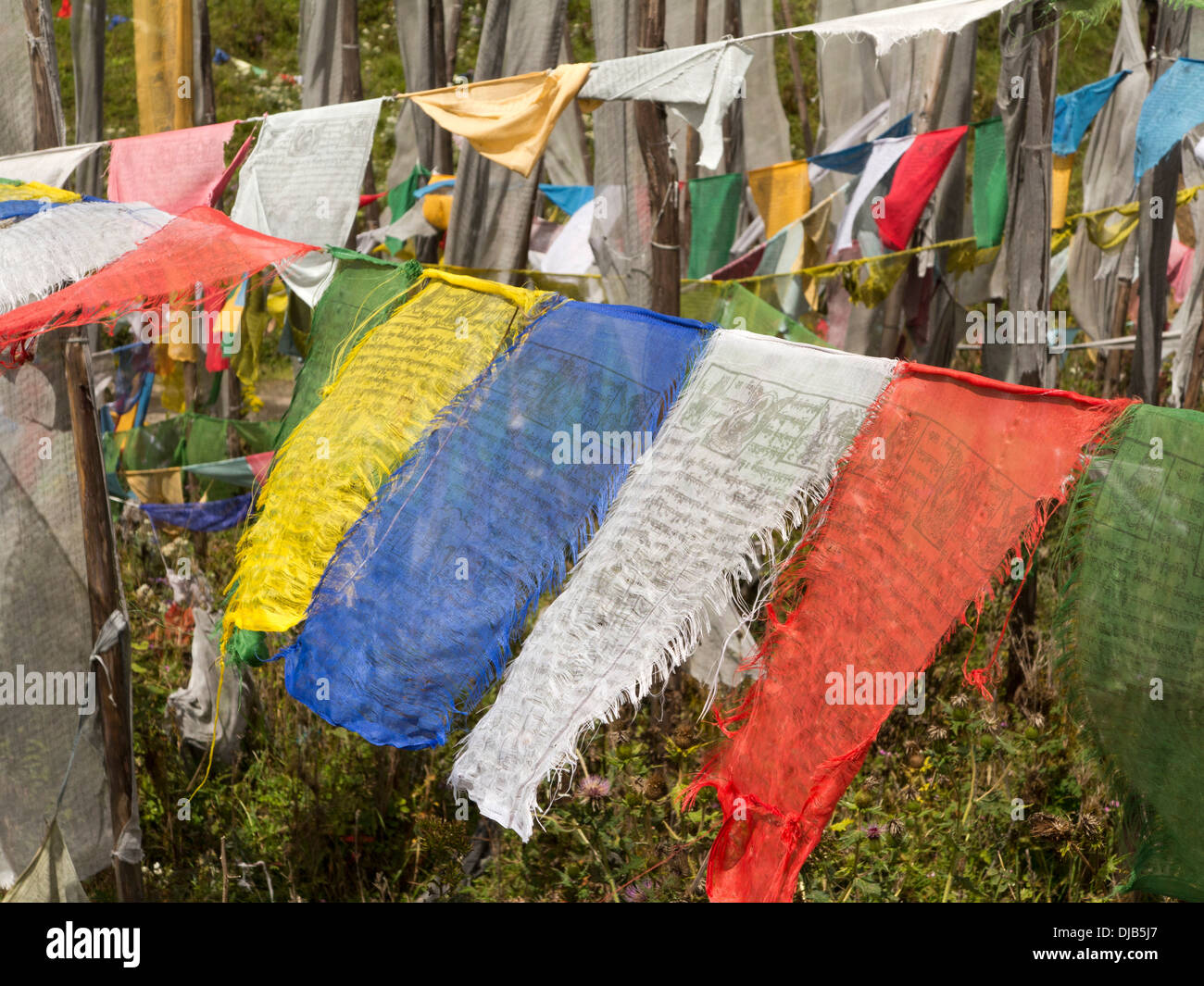 Le Bhoutan, Phobjika,, Pelé, La, col, les drapeaux de prières au-dessus road Banque D'Images