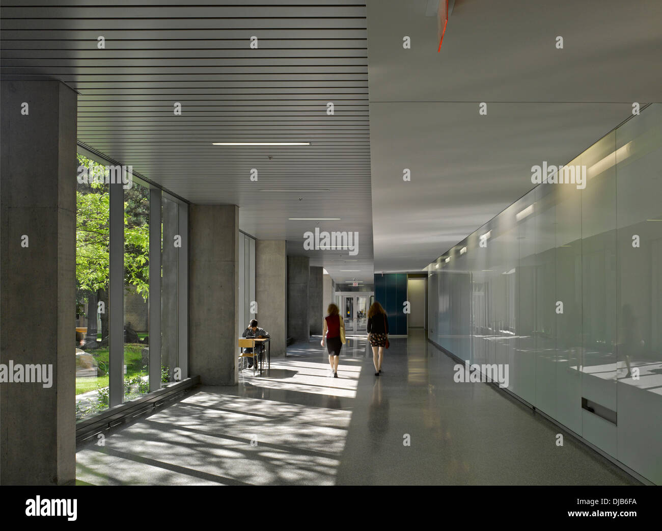Le Quantum Nano Centre, Waterloo, Canada. Architecte : Kuwabara Payne McKenna Bloomberg, 2013. Jardin couloir. Banque D'Images