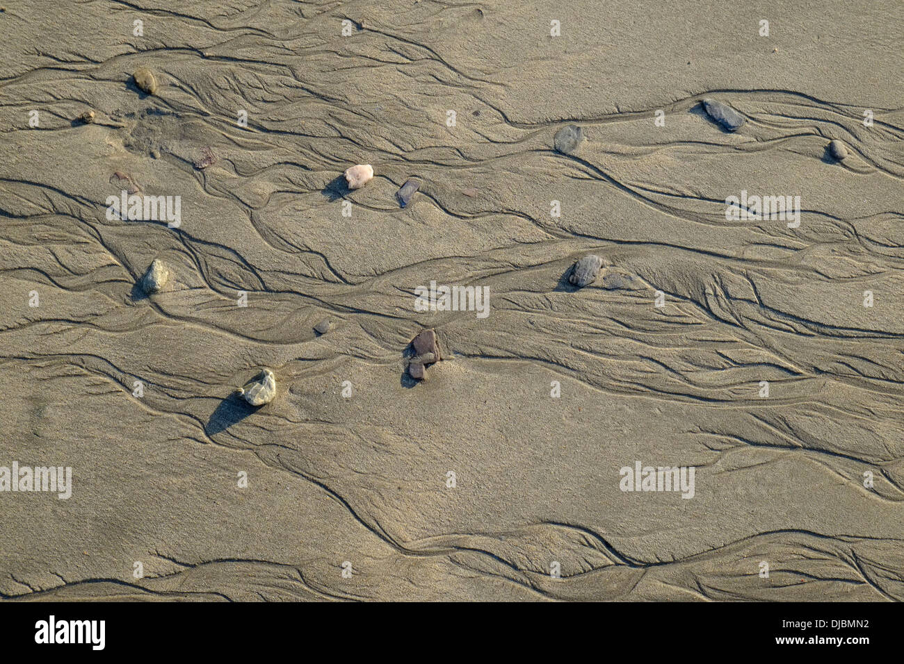 Gros plan de rivulets et de galets à marée basse sur une plage de sable. South Devon, Royaume-Uni Banque D'Images