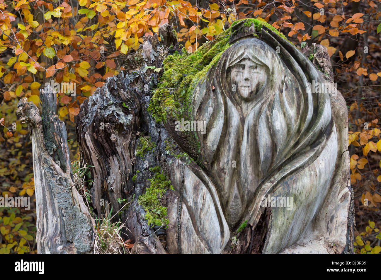 Souche d'arbre sculpté à Tideswell to Dale, Peak District, Derbyshire Banque D'Images
